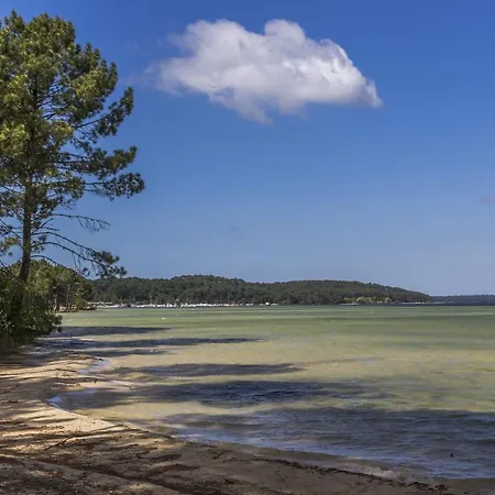 Camping Maeva Escapades L'arbre D'or **** 营地