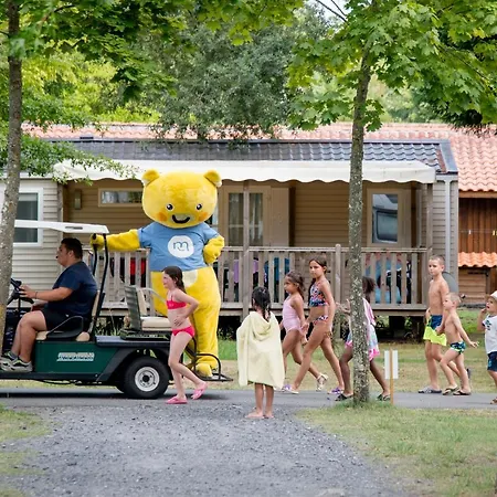 营地 Camping Maeva Escapades L'arbre D'or ****