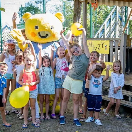 Camping Maeva Escapades L'arbre D'or **** 营地 *